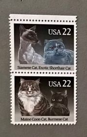 Фауна Фауна ^/--/^ США Фауна Коты Кошки ^_^^^ США Фауна Коти Кошки - фото фото фото