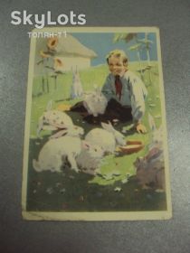 СРСР СССР ^/--/^ открытка мальчик с кроликами 1956 старов №15649 /--/ м ^_^^^ листівка хлопчик з кроликами 1956 старов No /--/ 15649 /--/ м - фото фото фото