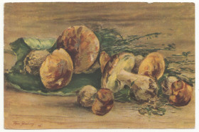 СРСР СССР ^/--/^ Грибы 1956 Яковлев Р /--/ 12 ^_^^^ Гриби 1956 Яковлєв Р /--/ 12 - фото фото фото