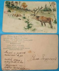 Росія до  року Россия до  года ^/--/^ открытка №18 олень ^_^^^ листівка No /--/ 18 олень - фото фото фото