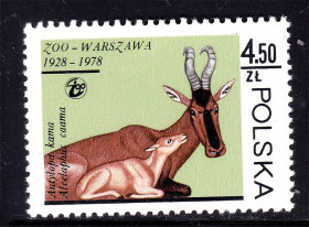 Фауна Фауна ^/--/^ Фауна . Польша 1978 г  MNH  - ^_^^^ Фауна . Польща 1978 MNH - - фото фото фото