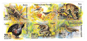 Фауна Фауна ^/--/^ Фауна Россия  1997 г  MNH сцеака ^_^^^ NM Фауна Росія 1997 MNH сцеаку - фото фото фото