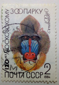 СРСР - СССР - ^/--/^ СССР 1984 Московский зоопарк, мандрил, гашеная (I) ^_^^^ СРСР Московський зоопарк, мандрил, гашена (I) - фото фото фото