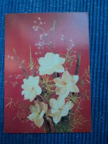 СРСР СССР ^/--/^ Цветы. Композиция. 1986 /--/ г. Поздравляю. ^_^^^ Квіти. Композиція. 1986. Вітаємо. - фото фото фото