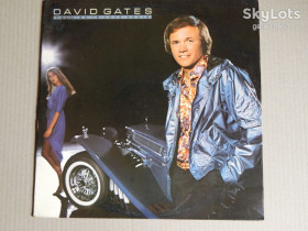 Платівки Пластинки ^/--/^ David Gates – Falling In Love Again  (Elektra – 6 /--/ E-251, US) insert EX+/NM- ^_^^^ David Gates – Falling In Love Again (Elektra – 6 /--/ E-251, US) insert EX+/NM- - фото фото фото
