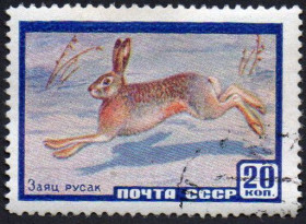 СРСР - СССР - ^/--/^ СРСР 1960 - Фауна СРСР  (Г) ^_^^^ СРСР 1960 — Фауна СРСР (Г) - фото фото фото