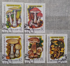 Флора Флора ^/--/^ СССР 1986 г - Ядовитые грибы,  гаш ^_^^^ СРСР 1986 р. Отруйні гриби, гаш - фото фото фото
