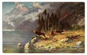 Іноземні Иностранные ^/--/^ Поштова картка листівка Олені 1913 рік Німеччина Fv /--/ 8.5 ^_^^^ Почтовая карточка открытка Елене 1913 год Германия Fv /--/ 8. 5 5 - фото фото фото
