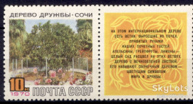 СРСР - СССР - ^/--/^ СССР 1970 флора дерево дружбы Сочи СК 3789 MNH ^_^^^ СРСР 1970 флора дерево дружби Сочі СК 3789 MNH - фото фото фото