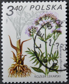 Інше Другое ^/--/^ Польша Флора Лекарственные растения 1980 ^_^^^ Польща Флора Лікарські рослини 1980 - фото фото фото