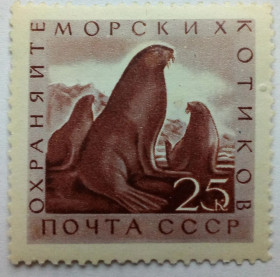 СРСР - СССР - ^/--/^ СССР 1960 Морская фауна, котики, MLH ^_^^^ СРСР 1960 Морська фауна, котики, MLH - фото фото фото