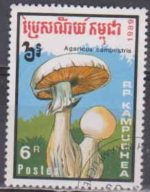 Флора Флора ^/--/^ Кампучия Камбоджа 1989 флора гриб ^_^^^ Кампучія Камбоджа 1989 флора гриб - фото фото фото