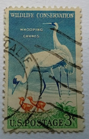 Північна Америка Северная Америка ^/--/^ США 1957 Журавль, гашеная ^_^^^ 1957 — Журавль, гашена - фото фото фото