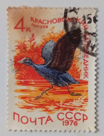 СРСР - СССР - ^/--/^ СССР 1976 Водоплавающие птицы, лысуха, гашеная ^_^^^ СРСР 1976 Водоплавні птахи, лисуха, гашена - фото фото фото