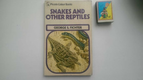 Книги на іноземних мовах Книги на иностранных языках ^/--/^ Snakes and other reptiles - На Английском English книга ^_^^^ Snakes and other reptiles - Англійська мова - фото фото фото