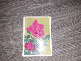Іноземні Иностранные ^/--/^ Открытка СССР Роза 1980 /--/ г. ^_^^^ Листівка СРСР Роза 1980 /--/ р. - фото фото фото