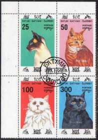 Країни СНД Страны СНГ ^/--/^ Батумі 1994 - Коти  (Г) ^_^^^ Батуми 1994 - Коты (Г) - фото фото фото