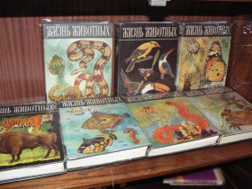 Видання - р. Издания - гг. ^/--/^ Жизнь животных.6 томов-(в 7 книгах).Первое издание.1968-1971 /--/ г.г.Суперобложки. ^_^^^ Життя тварин.6 томів-(у 7 книгах). Перше видання. 1968-1971 /--/ р.р.Суперобкладинки. - фото фото фото