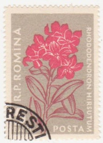 Румунія Румыния ^/--/^ Румыния 1957 г №  1653 гашеная ^_^^^ Румунія 1957 р. No 1653 гашена - фото фото фото