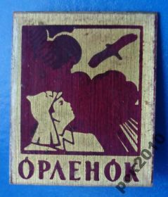 Знаки товариств і організацій Знаки обществ и организаций ^/--/^ пионерский лагерь Орленок ^_^^^ Піонерський табір Орленок - фото фото фото