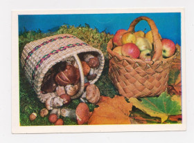СРСР СССР ^/--/^ ГРИБИ - ЯБЛУКА - КОШИК = ДМПК 1979 - 1980 р. = ТУЖИКОВ = чиста &amp;#92;&amp; ^_^^^ Грибы - ЯБЛУКА - КОШИК = ДМПК 1979 - 1980 г. = ТУЖИКОВ = чистая &amp;#92; &amp; - фото фото фото