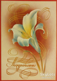 СРСР СССР ^/--/^ СССР 1984 флора цветы ХМПК 02 ^_^^^ СРСР 1984 флора квіти ХМПК 02 - фото фото фото