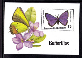 Фауна Фауна ^/--/^ Фауна .  Доминика   MNH - блок - флора - бабочки ^_^^^ Домініка MNH - блок - флора - метелика - фото фото фото
