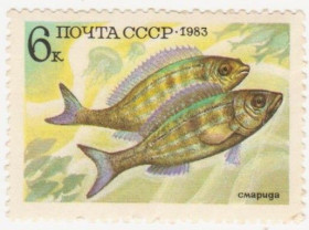 СРСР - СССР - ^/--/^ СССР 1983 г. № 5092 ** ^_^^^ СРСР 1983 No 5092 ** - фото фото фото