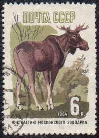 СРСР - СССР - ^/--/^ СРСР 1964 - 100 років Московському зоопарку  (Г) ^_^^^ СССР 1964 — 100 лет Московскому зоопарку (Г) - фото фото фото