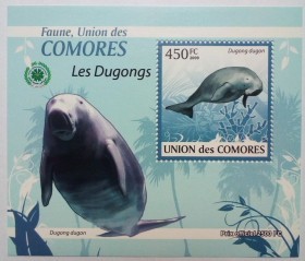 Комори Коморы ^/--/^ Коморские острова, Коморы 2009 Дюгонь, морская фауна, блок, MNH  (КЦ=11 евро) (II) ^_^^^ Коморські острови, Комори 2009 Дюгонь, морська фауна, блок, MNH (КЦ = 11 євро) (II) - фото фото фото