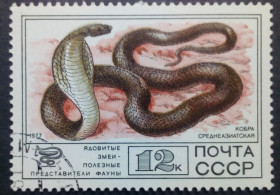 СРСР - СССР - ^/--/^ СССР 1977 Фауна, змеи, кобра среднеазиатская, гашеная ^_^^^ СРСР 1977 Фауна, змії, кобра середньоазіатська, гашена - фото фото фото
