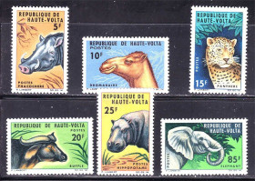 Фауна Фауна ^/--/^ NM Фауна . Верхняя Вольта 1966 г  MNH серия ^_^^^ NM Фауна . Верхня Вольта 1966 MNH серія - фото фото фото