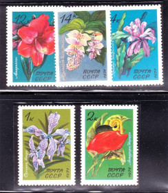 СРСР - СССР - ^/--/^ СССР 1971 г  MNH - флора ^_^^^ СРСР 1971 MNH - флора - фото фото фото