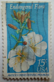 Північна Америка Северная Америка ^/--/^ США 1979 Цветы, флора, гашеная (III) ^_^^^ США 1979 Квіти, флора, гашена (III) - фото фото фото