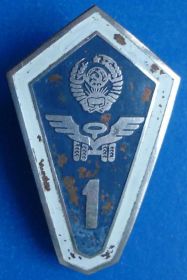 Відзнаки Знаки отличий ^/--/^ ромб № 1 (САТП-1501 Одесса бригада водителей) ^_^^^ ромб No 1 (САТП-1501 Одеса бригада водіїв) - фото фото фото