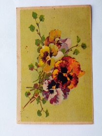 СРСР СССР ^/--/^ Открытка 1952 г. ЦВЕТЫ. ФК РОСПОЛИГРАФИЗДАТА. Таллин, подписана. ^_^^^ Листівка 1952 р. Квіти. ФК РОСПОЛІГРАФІЗДАТА. Таллінн, підписана. - фото фото фото