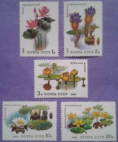 СРСР - СССР - ^/--/^ СССР 1984 флора цветы СК 5433-5437 MNH ^_^^^ СРСР 1984 флора квіти СК 5433-5437 MNH - фото фото фото