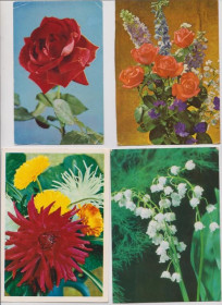 СРСР СССР ^/--/^ ЦВЕТЫ  1969, 1972, 1973, 1975, 1976, 1977, 1982, 1985, 1992 г.  Изд. ПЛАНЕТА  п/п  15 шт.  ^_^^^ Квіти 1969, 1972, 1973, 1975, 1976, 1977, 1982, 1985, 1992 Вид. ПЛАНЕТА п/п 15 шт. - фото фото фото