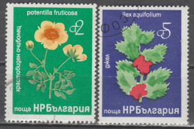 Флора Флора ^/--/^ Болгария Болгарія 1976 флора цветы ^_^^^ Болгария Болгария 1976 флора цветы - фото фото фото