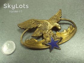 Відзнаки Знаки отличий ^/--/^ знак специалиста по ведению боя в горах альпийские стрелки Paris орел и звезда Париж Франция №Ж /--/ 8821 ^_^^^ Десант французький іноземний легіон NoЖ /--/ 8821 - фото фото фото
