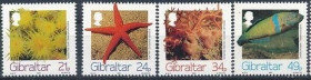 Інше Другое ^/--/^ Гибралтар Морская Фауна Рыбы Морская Звезда 1994 ^_^^^ Гібралтар Морська Фауна Риби Морська Зірка 1994 - фото фото фото