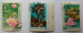 СРСР - СССР - ^/--/^ СССР 1966 Сухумский ботанический сад, гашеные (I) ^_^^^ СРСР 1966 Сухумський боий сад, гашені (I) - фото фото фото