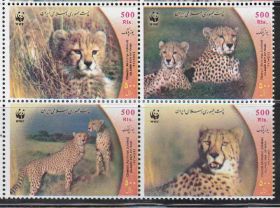 Іран Иран ^/--/^ Иран 2003 ФАУНА WWF ГЕПАРД КОШАЧЬИ ДИКИЕ ЖИВОТНЫЕ МЛЕКОПИТАЮЩИЕ Mi.2932-2935** MNH ^_^^^ Іран 2003 ФАУНА WWF ГЕПАРД КОШАЧІ ДІКІ ТВОТНІ МЛЕКОПІТАЮЧІ Mi.2932-2935** MNH - фото фото фото