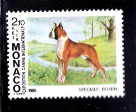 Фауна Фауна ^/--/^ Фауна . Монако 1985 г   MNH  - собаки - выставка -  немецкий боксёр ^_^^^ 1985 MNH - собаки - виставка - німецький боксер - фото фото фото