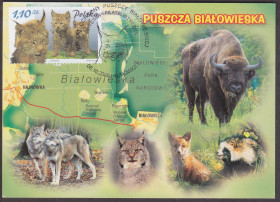 Європа Европа ^/--/^ Польша 2009 ФАУНА ДИКИЕ ЖИВОТНЫЕ МЛЕКОПИТАЮЩИЕ ЗВЕРИ РЫСЬ ЗУБР БИЗОН БЫК ВОЛК Mi.3963 Одна ПК СГ ^_^^^ Польща 2009 ФАУНА ДІКІ ЖИВОТНІ МЛЕКОПИТАЮЧІ ЗВІРИ РИСЬ ЗУБР БІЗОН БИК ВОВК Mi.3963 Одна ПК ЗГ - фото фото фото