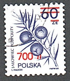 Польща Польша ^/--/^ Польша  (1990) Можжевельник. Надпечатка ^_^^^ Польща (1990) Можжевельник. Надпечатка - фото фото фото