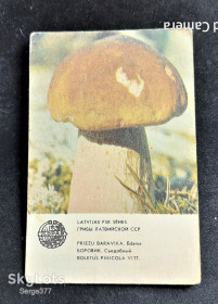 Календарі Календари ^/--/^ KA Календар 1986 р. Гриб Боровик ^_^^^ KA Календарь 1986 г. Гриб Боровик - фото фото фото