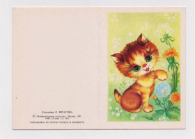 СРСР СССР ^/--/^ ПОЗДРАВЛЯЕМ - КОТЕНОК - КОТ  1985 г.  ЮРАСОВА  МИНИ двойная чистая  ^_^^^ Вітаємо - Котенок - Кіт 1985 р. ЮРАСОВА МІНІ подвійна чиста - фото фото фото