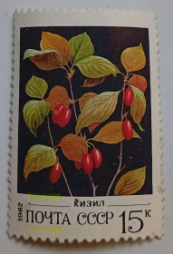СРСР - СССР - ^/--/^ СССР 1982 Кизил, гашеная ^_^^^ СРСР 1982 Кизил, гашена - фото фото фото
