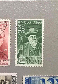 Італія, Ватикан Италия, Ватикан ^/--/^ Италия Личности 1955 ^_^^^ Італія Особистості 1955 - фото фото фото